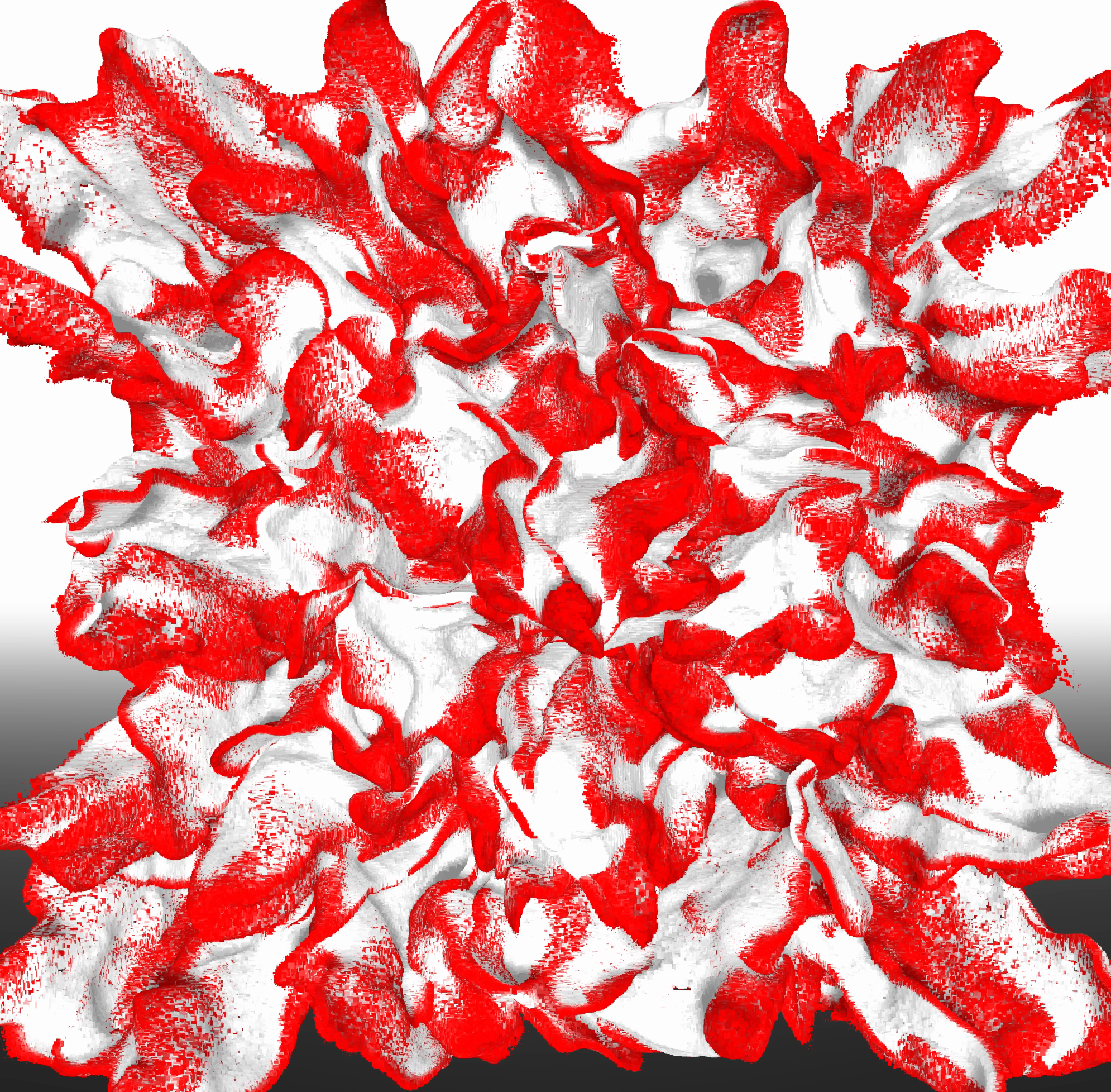 A.I.O.O.N., 2026: a red and white flower-like particle form